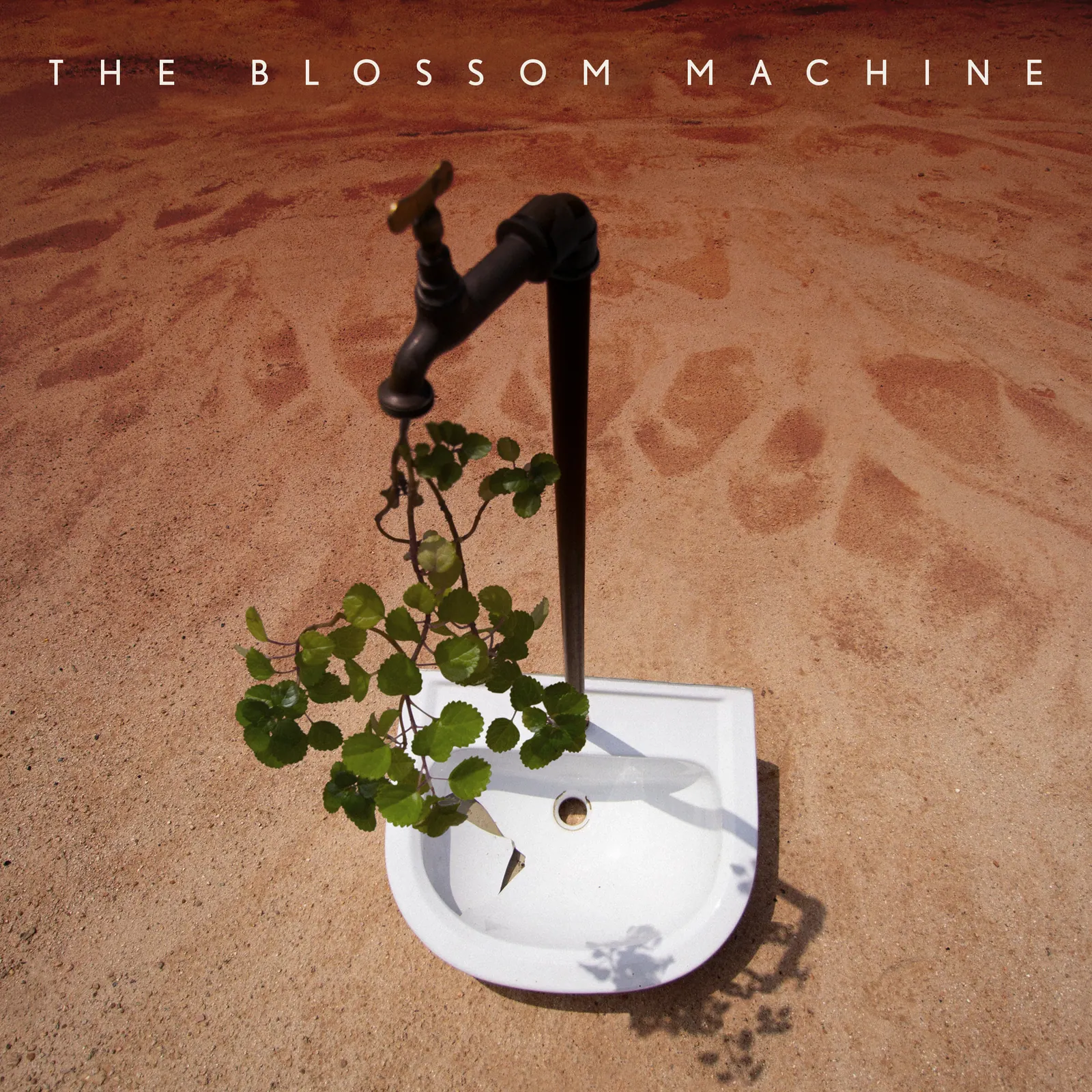 Álbum The Blossom Machine - 2024